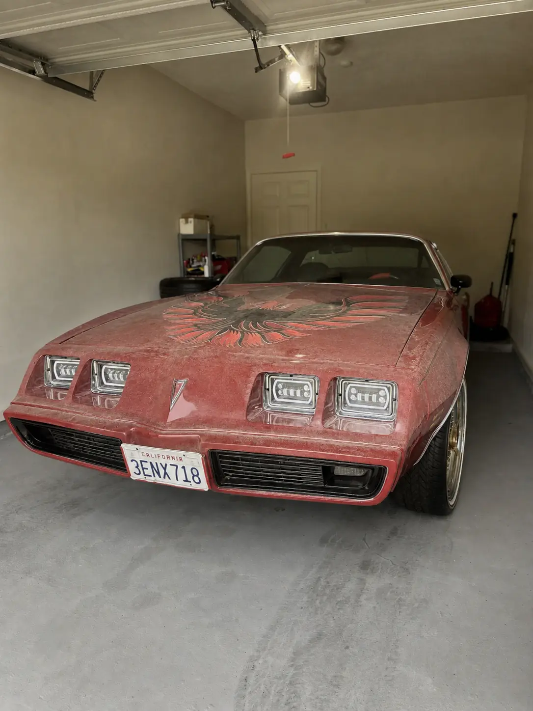 Exterior — Decontamination + Polish before