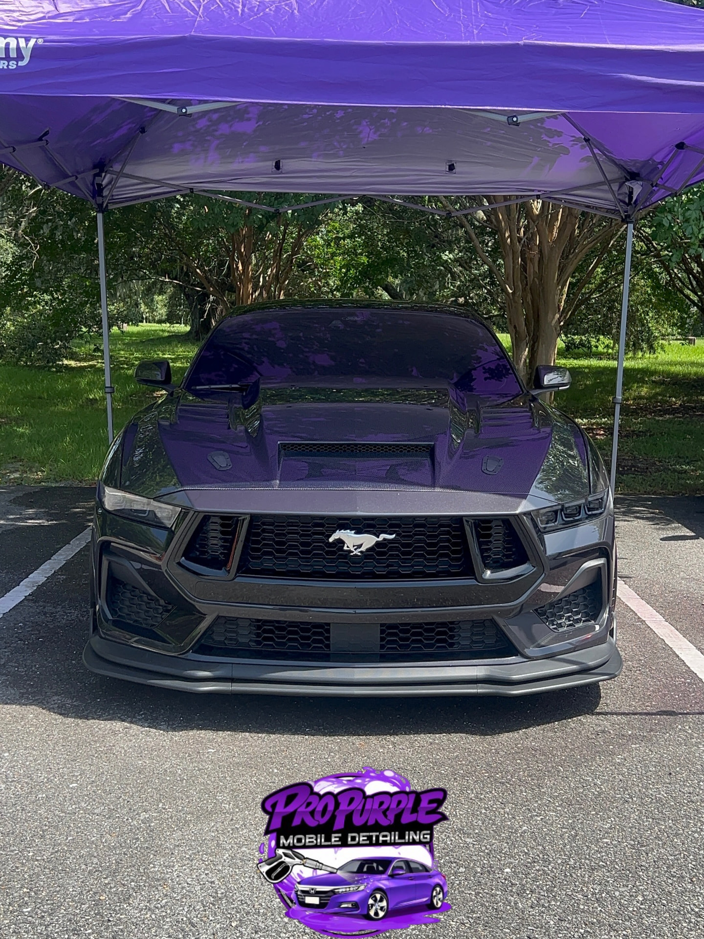 Freshly detailed black Ford Mustang GT with gloss finish under the Pro Purple canopy in New Orleans