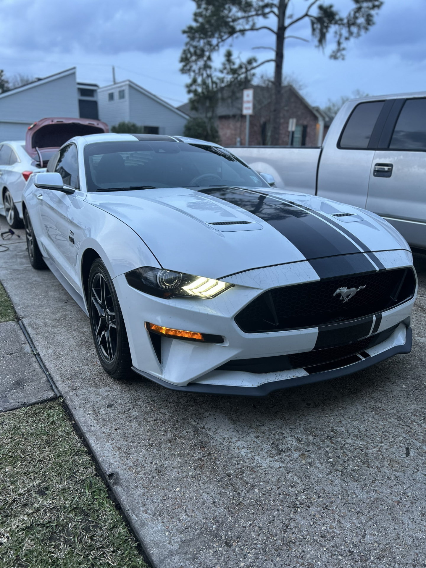 White Ford Mustang GT with racing stripes detailed in a Destrehan, Louisiana driveway