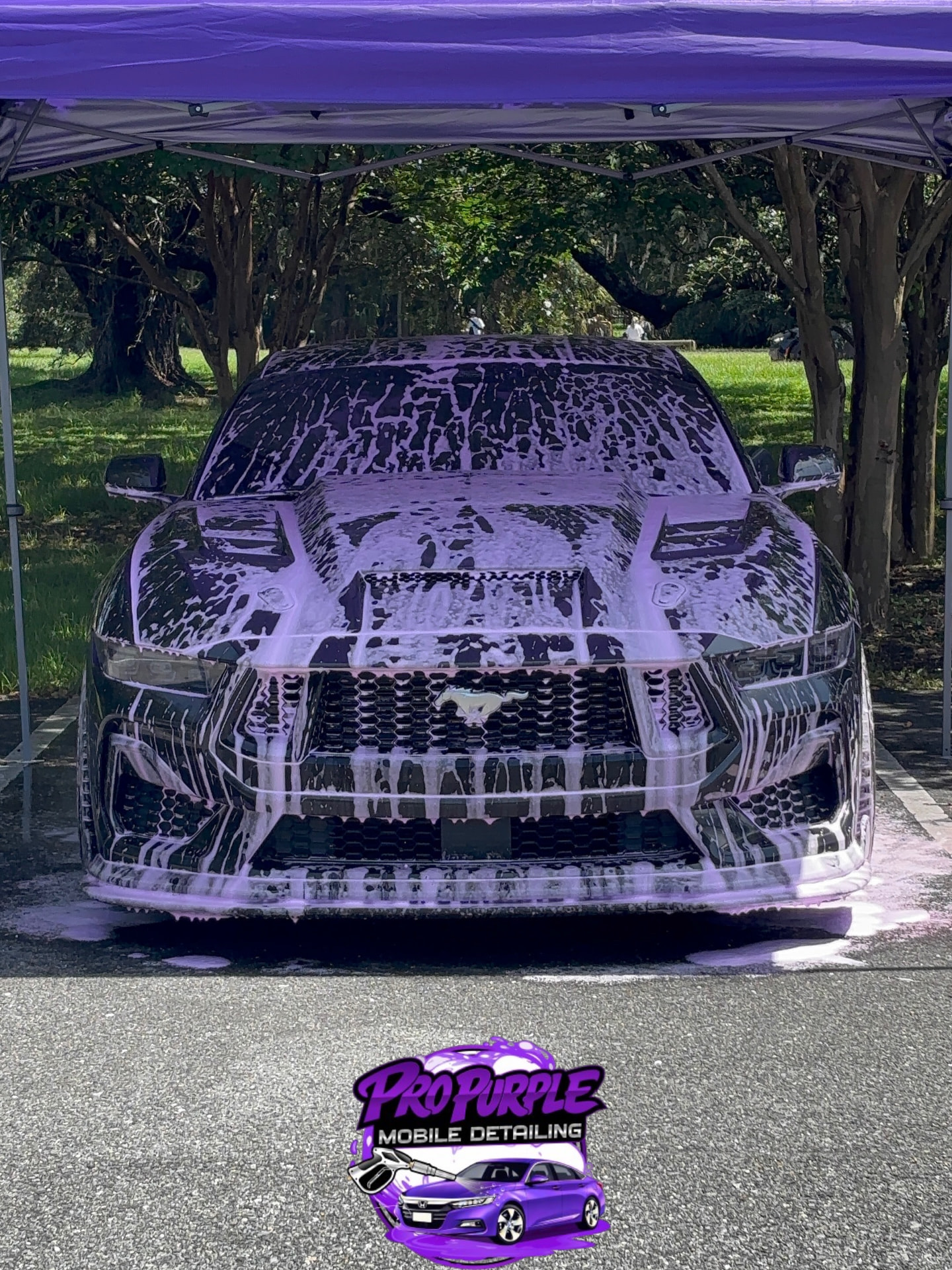 Glossy sedan detailed inside and out during a full mobile detail in New Orleans, Louisiana
