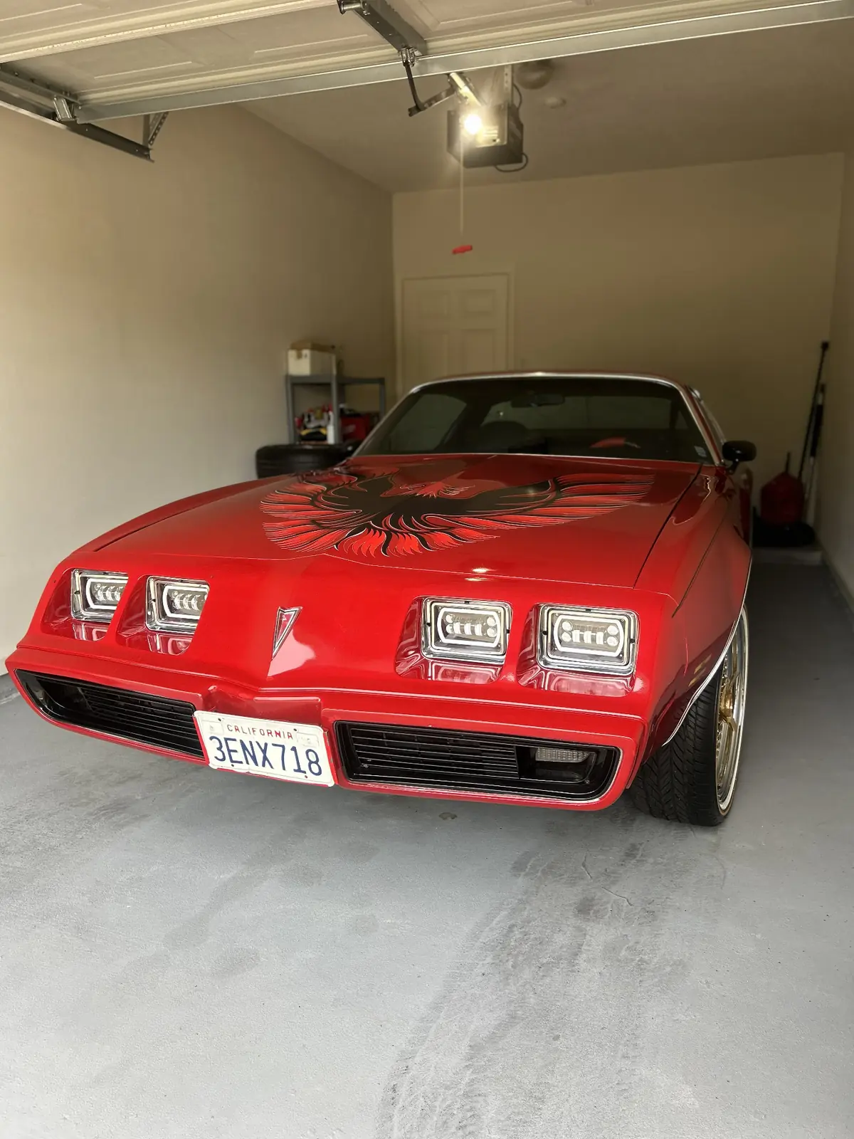 Exterior — Decontamination + Polish after