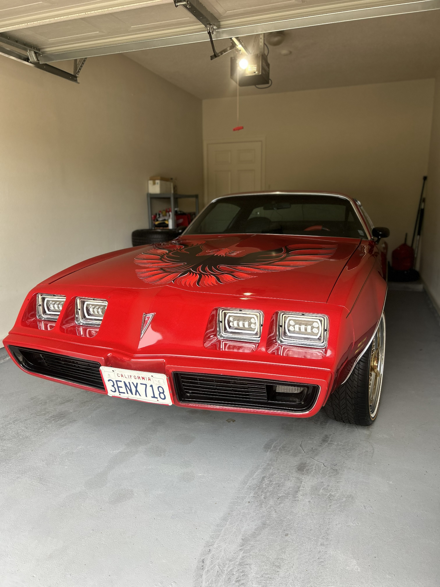 Exterior — Decontamination + Polish after